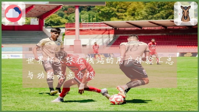 世界杯买球在线站的用户体验汇总与功能亮点介绍