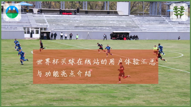 世界杯买球在线站的用户体验汇总与功能亮点介绍