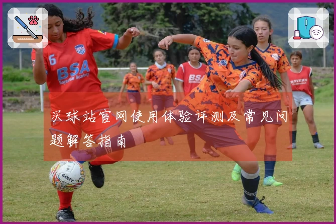 买球站官网使用体验评测及常见问题解答指南