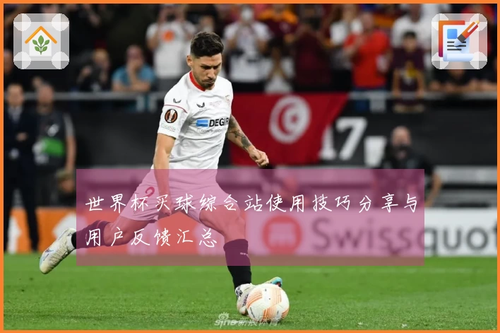 世界杯买球综合站使用技巧分享与用户反馈汇总