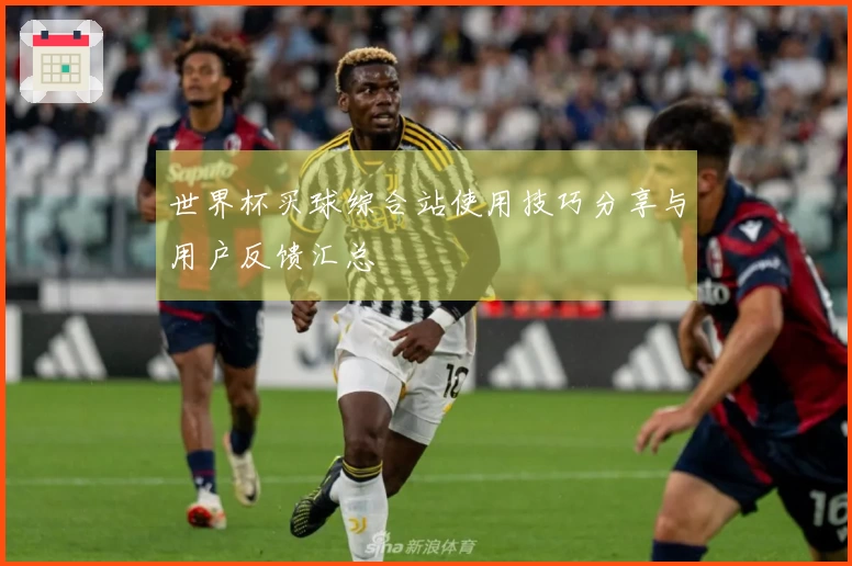 世界杯买球综合站使用技巧分享与用户反馈汇总