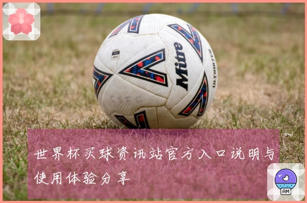 世界杯买球资讯站官方入口说明与使用体验分享