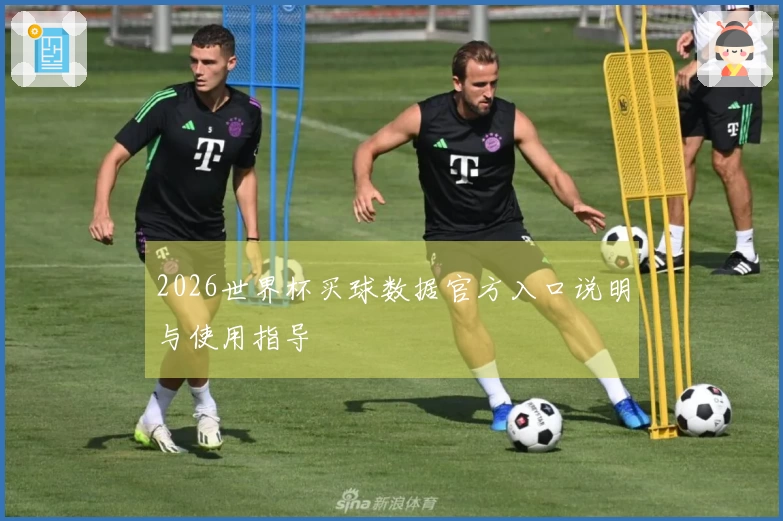 2026世界杯买球数据官方入口说明与使用指导